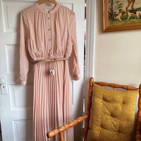 Elegant Blush Pink Pleated Maxi Skirt - Picture 3 of 7